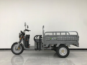 Eborn Cargo Cat 2 V2