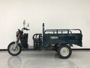 Eborn Cargo Cat 2 V2