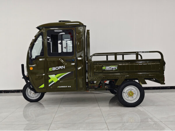 Eborn Cargo Cat 3 V2