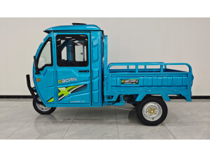 Eborn Cargo Cat 3 V2