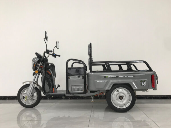 Eborn Cargo Cat 1 V2 silber