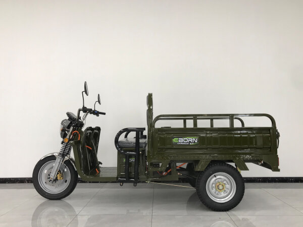 Eborn Cargo Cat 2 V2 E-Cargo-Service