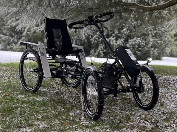 E-Velo Cabrio P3 Basis E-Bike-Service