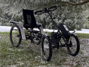 E-Velo Cabrio P3 Basis E-Bike-Service