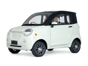 Futura Dora Li