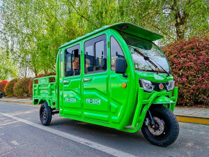 Elektrofrosch Grand Extra Doppelkabine E-Trike-Service