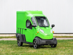 Elektrofrosch Max E-Pkw-Service