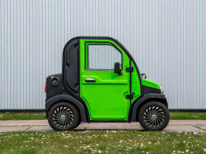 Elektrofrosch Bob Two E-Pkw-Service