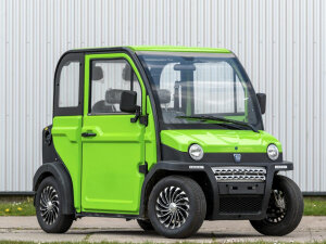 Elektrofrosch Bob Four E-Pkw-Service