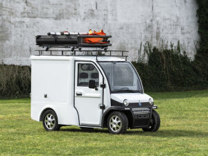 Elektrofrosch Bob Transporter E-Pkw-Service