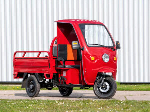Elektrofrosch Big E-Trike-Service
