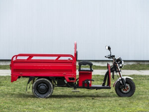 Elektrofrosch Basis E-Trike-Service
