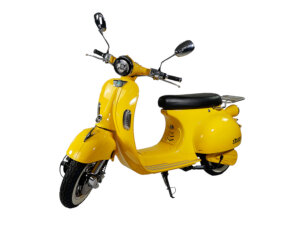 Tisto Luna 3.0 E-Roller-Service