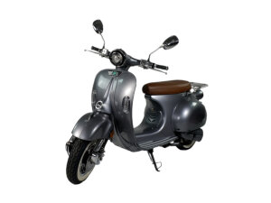 Tisto Luna 5.0 E-Roller-Service