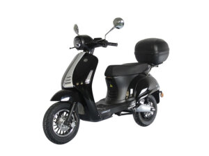 Tisto Elphin 2000W E-Roller-Service