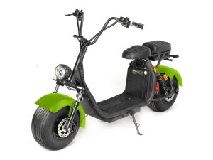 Eneway Coco E-Scooter-Service